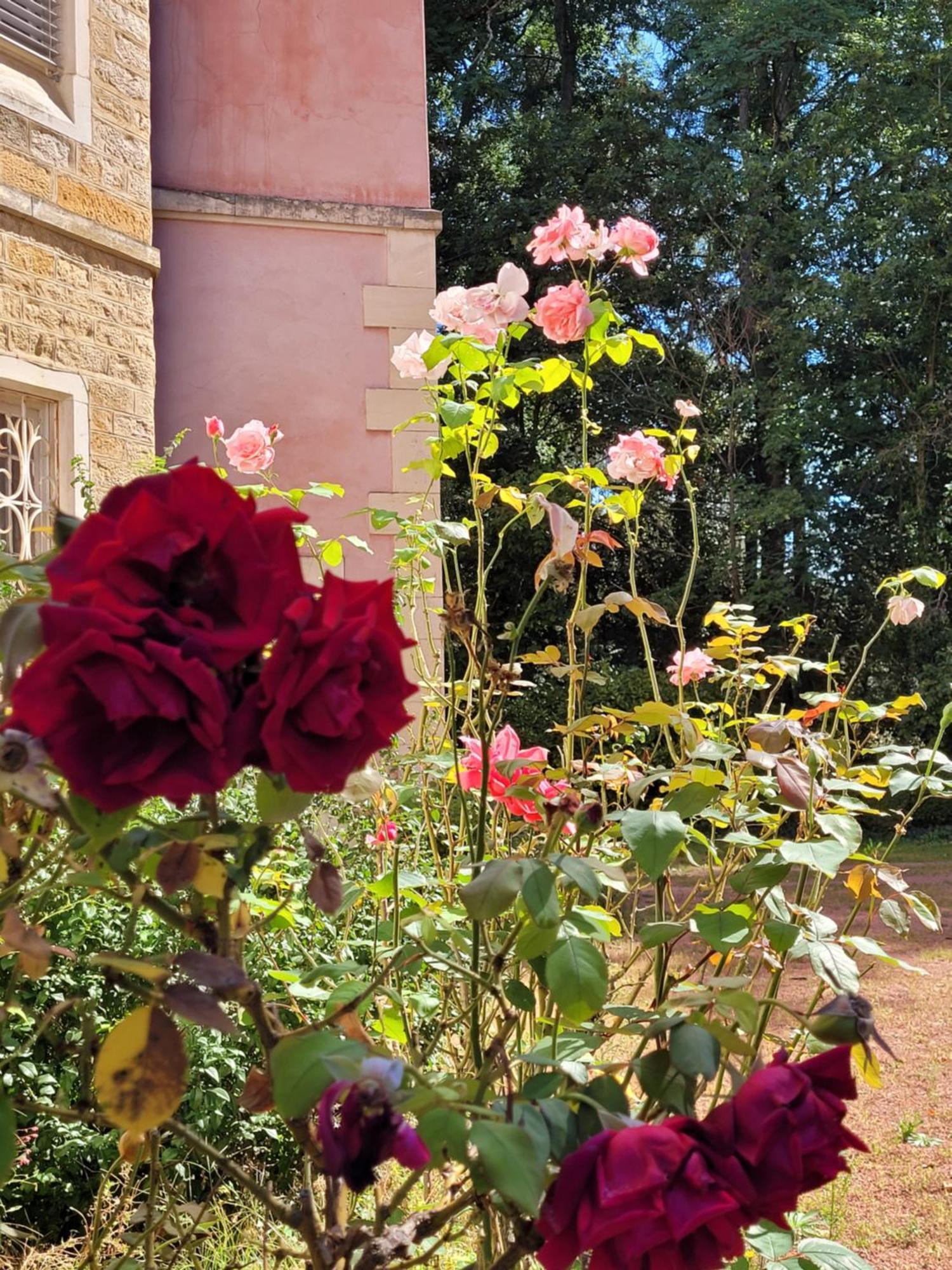 Bed and Breakfast L'Ancre Vive Charentay Экстерьер фото